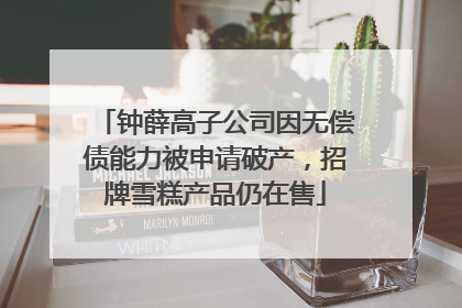 钟薛高子公司因无偿债能力被申请破产，招牌雪糕产品仍在售