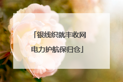 银线织就丰收网 电力护航保归仓