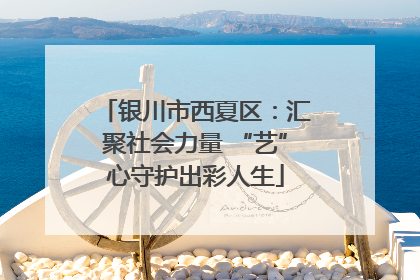 银川市西夏区：汇聚社会力量 “艺”心守护出彩人生