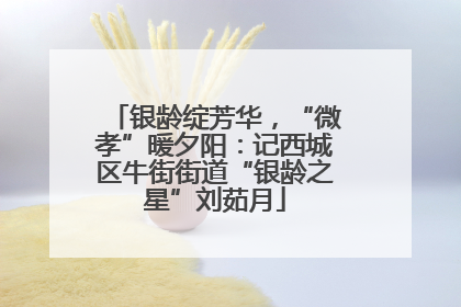 银龄绽芳华，“微孝”暖夕阳：记西城区牛街街道“银龄之星”刘茹月