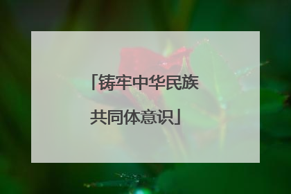 铸牢中华民族共同体意识