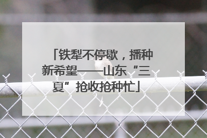 铁犁不停歇，播种新希望——山东“三夏”抢收抢种忙