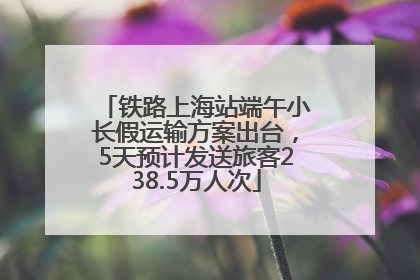 铁路上海站端午小长假运输方案出台，5天预计发送旅客238.5万人次