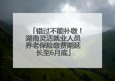 错过不能补缴！湖南灵活就业人员养老保险缴费期延长至6月底