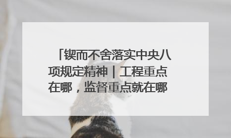 锲而不舍落实中央八项规定精神｜工程重点在哪，监督重点就在哪——广西深化政治监督护航平陆运河建设