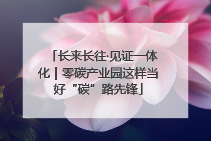 长来长往·见证一体化｜零碳产业园这样当好“碳”路先锋