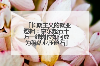 长期主义的就业逻辑：京东超五十万一线岗位如何成为稳就业压舱石
