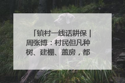镇村一线话耕保｜周张博：村民但凡种树、建棚、盖房，都要向街道报批