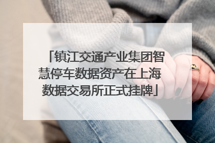 镇江交通产业集团智慧停车数据资产在上海数据交易所正式挂牌