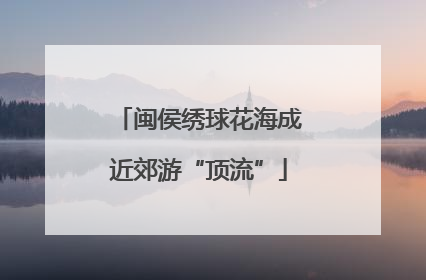 闽侯绣球花海成近郊游“顶流”