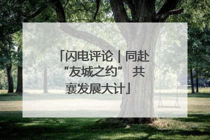 闪电评论｜同赴“友城之约” 共襄发展大计
