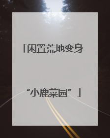 闲置荒地变身“小鹿菜园”