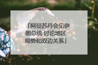 阿曼苏丹会见伊朗总统 讨论地区局势和双边关系