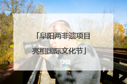 阜阳两非遗项目亮相国际文化节