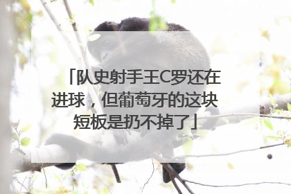 队史射手王C罗还在进球，但葡萄牙的这块短板是扔不掉了