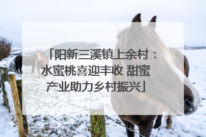 阳新三溪镇上余村：水蜜桃喜迎丰收 甜蜜产业助力乡村振兴