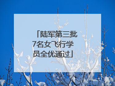 陆军第三批7名女飞行学员全优通过