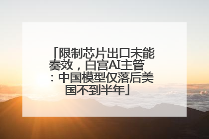 限制芯片出口未能奏效，白宫AI主管：中国模型仅落后美国不到半年