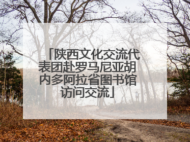陕西文化交流代表团赴罗马尼亚胡内多阿拉省图书馆访问交流