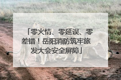 零火情、零延误、零差错！岳阳消防筑牢旅发大会安全屏障
