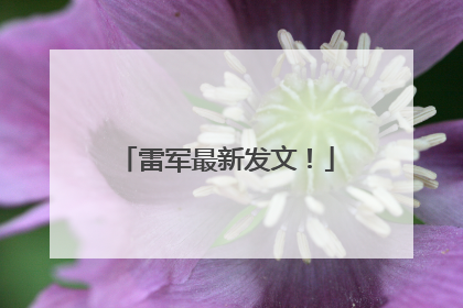 雷军最新发文！