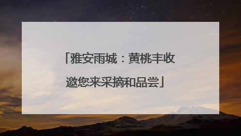 雅安雨城：黄桃丰收 邀您来采摘和品尝