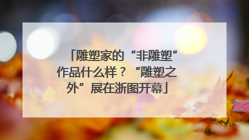 雕塑家的“非雕塑”作品什么样？“雕塑之外”展在浙图开幕