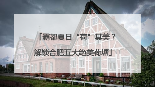 霸都夏日“荷”其美？解锁合肥五大绝美荷塘