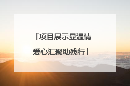 项目展示显温情 爱心汇聚助残行