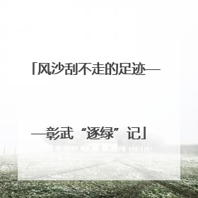 风沙刮不走的足迹——彰武“逐绿”记