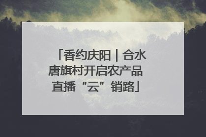 香约庆阳｜合水唐旗村开启农产品直播“云”销路