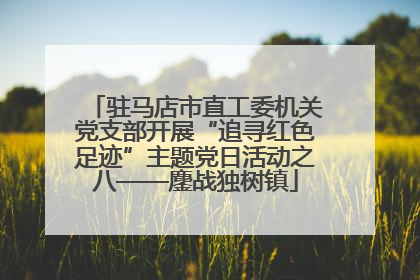 驻马店市直工委机关党支部开展“追寻红色足迹”主题党日活动之八——鏖战独树镇