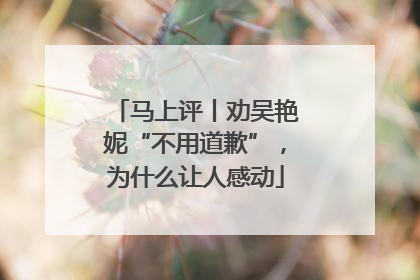 马上评丨劝吴艳妮“不用道歉”，为什么让人感动