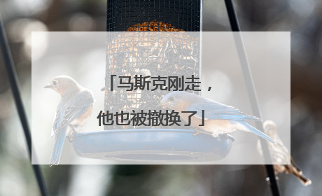 马斯克刚走，他也被撤换了