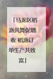 马龙区稻渔共舞促增收 稻渔订单生产共致富