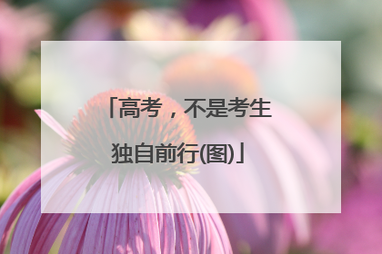 高考，不是考生独自前行(图)