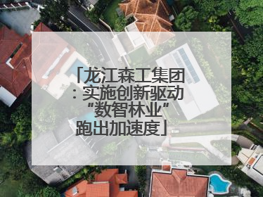 龙江森工集团：实施创新驱动 “数智林业”跑出加速度