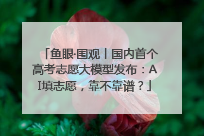 鱼眼·围观丨国内首个高考志愿大模型发布：AI填志愿，靠不靠谱？