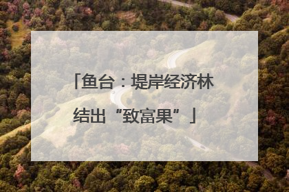 鱼台：堤岸经济林结出“致富果”