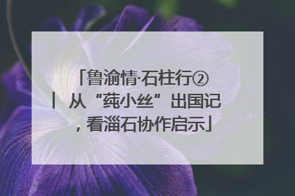 鲁渝情·石柱行② ︳从“莼小丝”出国记，看淄石协作启示