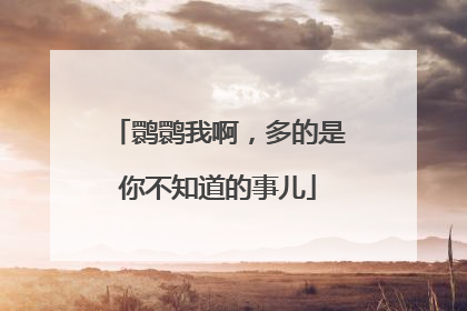 鹮鹮我啊，多的是你不知道的事儿