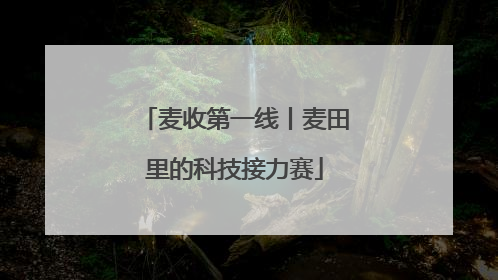 麦收第一线丨麦田里的科技接力赛