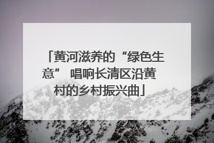 黄河滋养的“绿色生意” 唱响长清区沿黄村的乡村振兴曲
