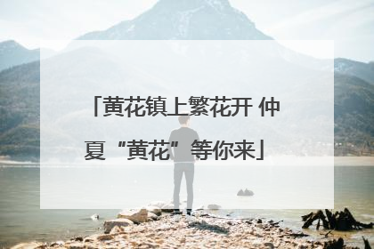 黄花镇上繁花开 仲夏“黄花”等你来