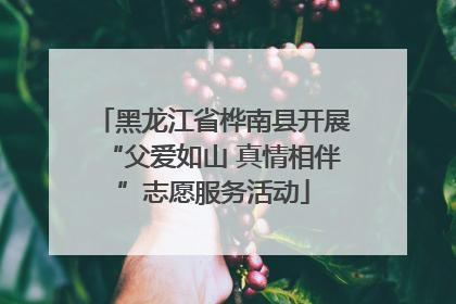 黑龙江省桦南县开展“父爱如山 真情相伴”志愿服务活动