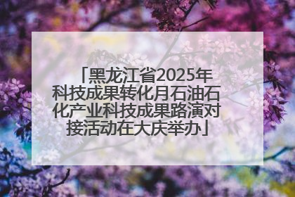 黑龙江省2025年科技成果转化月石油石化产业科技成果路演对接活动在大庆举办