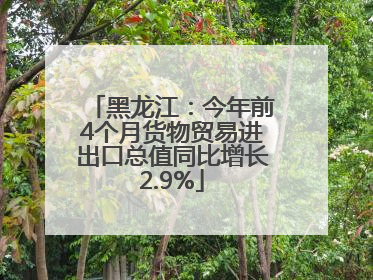黑龙江：今年前4个月货物贸易进出口总值同比增长2.9%