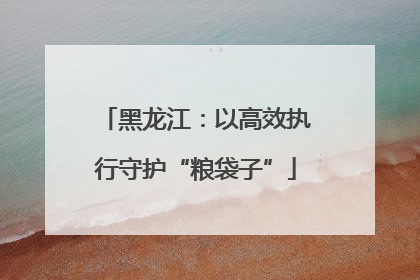 黑龙江：以高效执行守护“粮袋子”