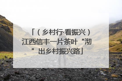 （乡村行·看振兴）江西信丰一片茶叶“沏”出乡村振兴路