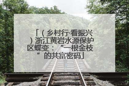 （乡村行·看振兴）浙江黄岩水源保护区蝶变：“一根金枝”的共富密码